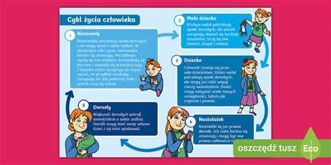 Infografika: Životné etapy psa a ich význam pre chov