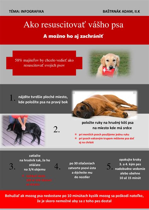 Grafické znázornenie nákladov na veterinárnu starostlivosť o psa