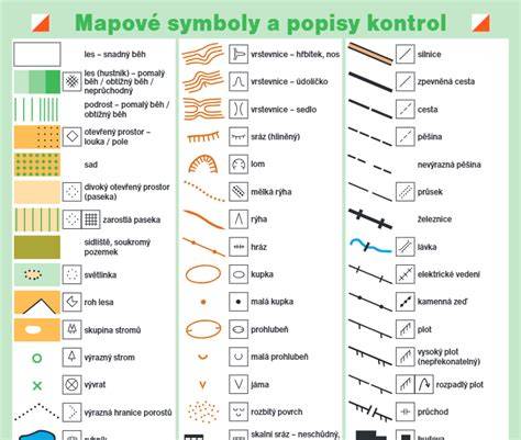 Infografika: Anatomické znaky Bloodhounda a jeho typické sfarbenie