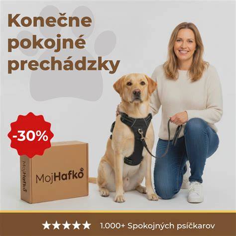 Infografika: Ako funguje postroj proti ťahaniu a čo rozkladá tlak na hrudník