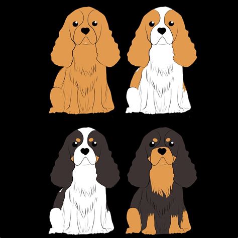 Infografika: Farebné typy Blenheim, Tricolor, Ruby, Black and Tan a základné znaky plemena