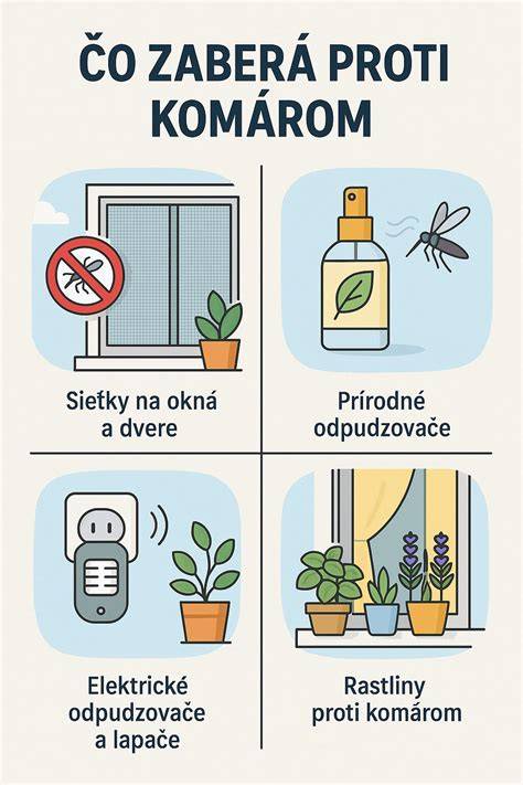 infographic: Ako správne kŕmiť šteňa krok za krokom
