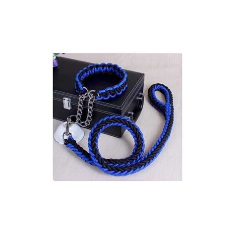 Ilustrácia psa s obojkom a menovkou