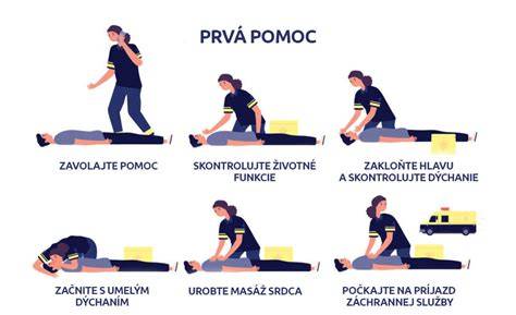 Infografika: Ako postupovať pri krívaní psa a prvá pomoc