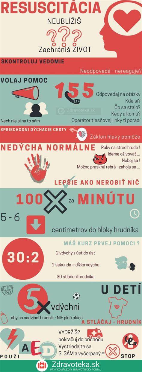 Infografika: Ako česať nemeckého špica a koľko času mu venovať