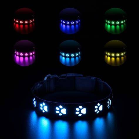 LED obojky a ich význam pre bezpečné venčenie v šere