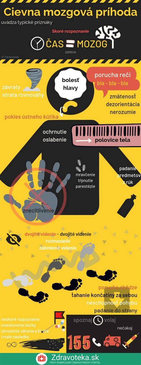 Infografika: typické choroby Maltézskeho psíka a ich prevencia