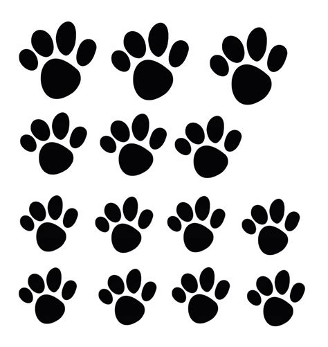 Horúci asfalt a psie labky