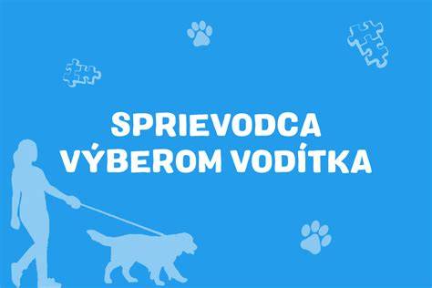 Infografika: Sprievodca výberom šampónov pre psov do bytu