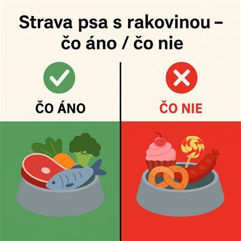 Infografika: Bezpečná príprava zemiakov pre psov - čo áno, čo nie
