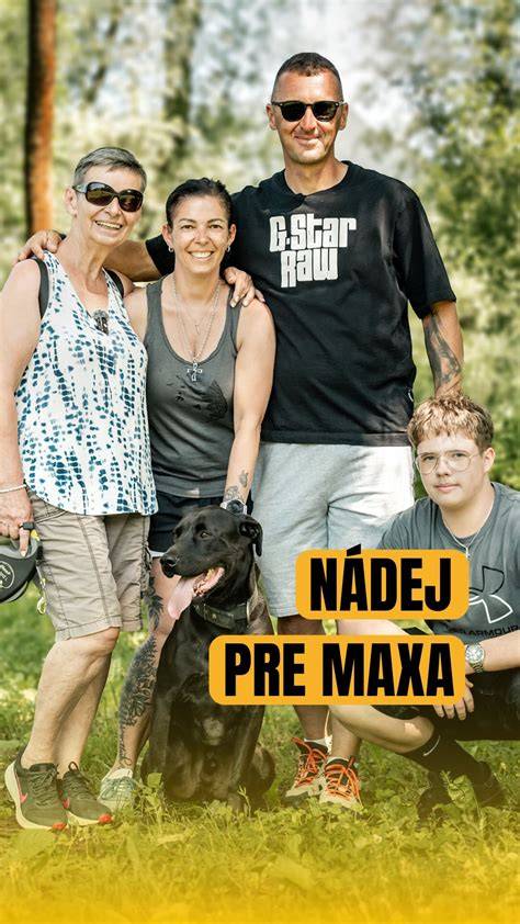 Graf: Obľúbené činnosti pudla (agility, stopovanie, poslušnosť, plávanie)