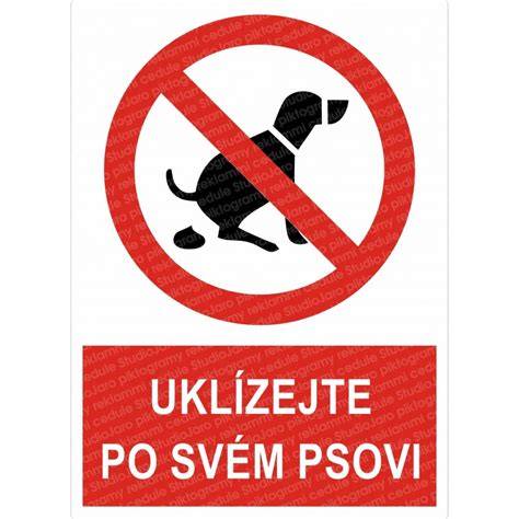 Obrázok jantarového obojka na psovi