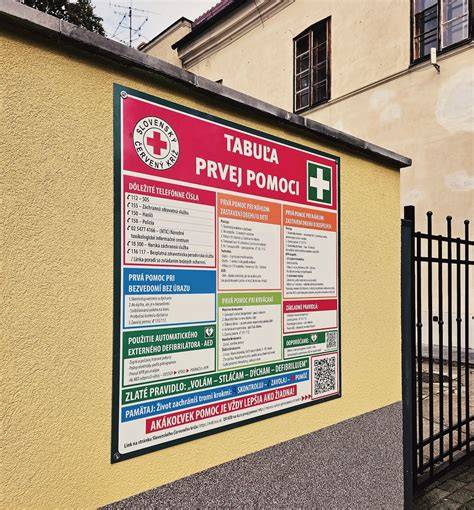 Infografika: 10 najčastejších zranení psov a základné kroky prvej pomoci