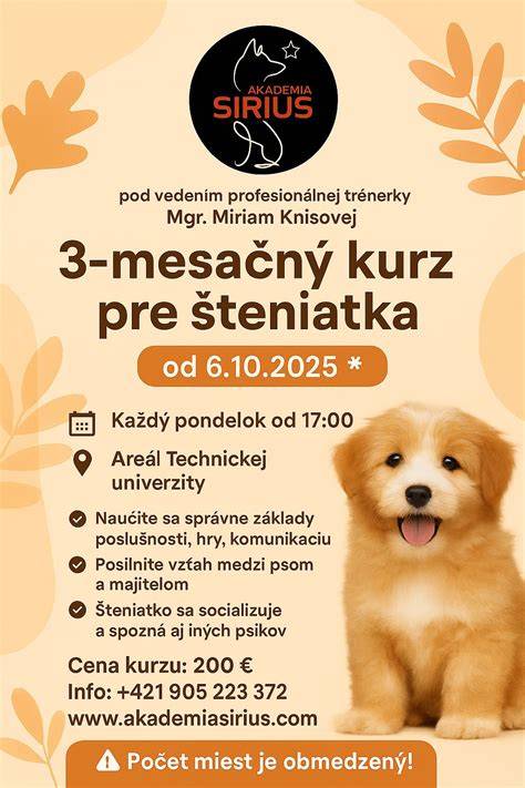 Infografika: Základy starostlivosti o šteňa a výcvik
