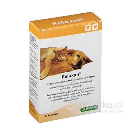 Ilustrácia psa a mačky priateľsky spolu