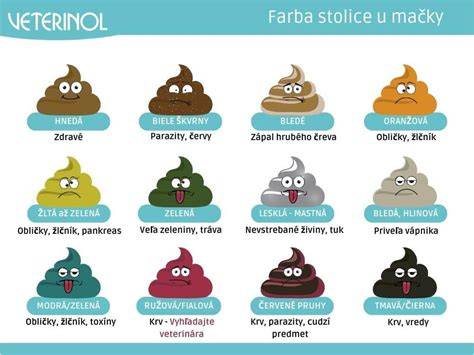 Infografika: Farby stolice psa a čo môžu signalizovať