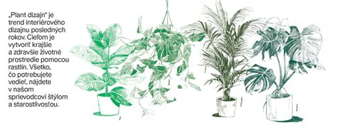 Ilustrácia rôznych druhov peľu