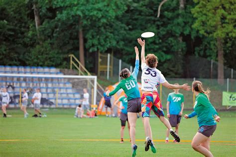 Ilustrácia farmy s psami a frisbee