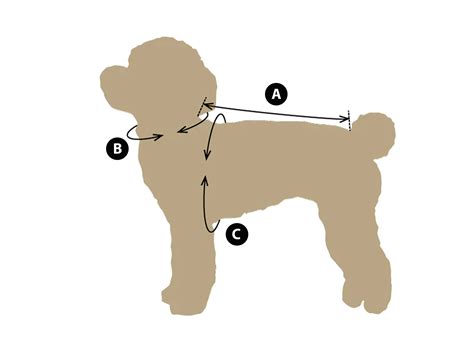 Ilustrácia psa ako symbolu v sne