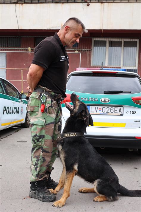 Ilustrácia policajného psa