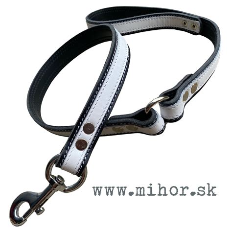 Ilustračná fotografia psa s koženým obojkom