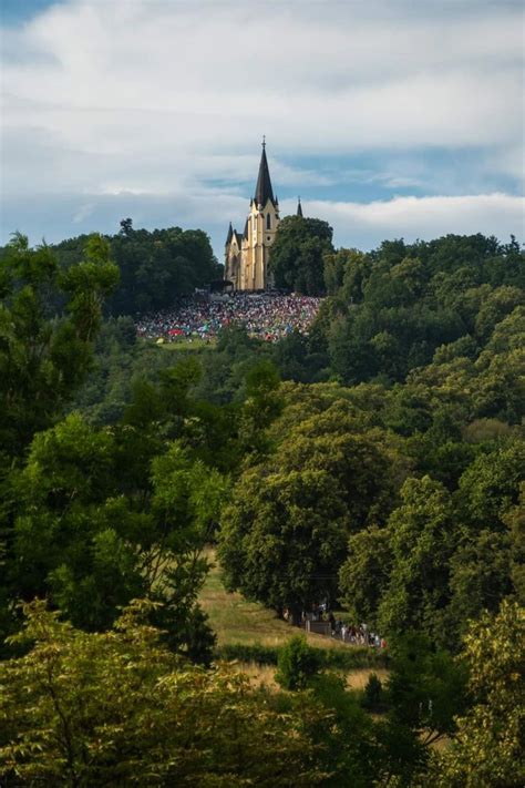 Kroky prevedenia pozície predĺženého šteňaťa