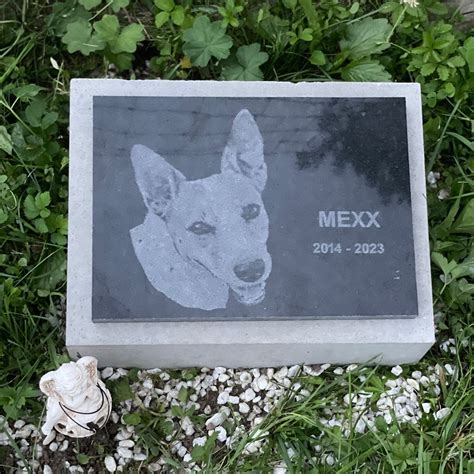 Cintorín pre zvieratá