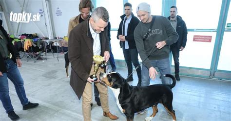 Ilustračná fotografia šteniatka na výstave psov