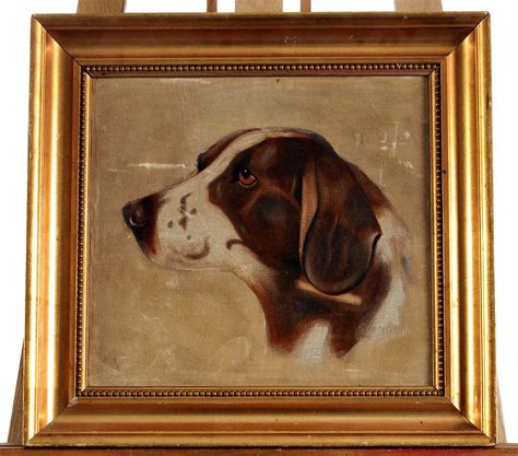 Portrét staršieho psa s výstavným ocenením