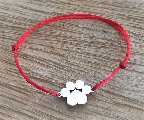 Pes s bolestivou labkou