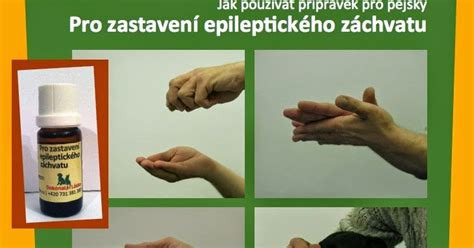 Ilustrácia psa počas epileptického záchvatu