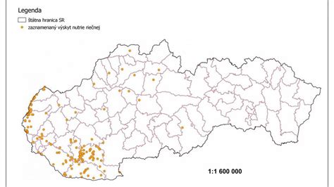 Mapa tela psa s vyznačenými oblasťami, kde sa najčastejšie objavujú lupiny