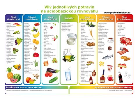 Infografika s kľúčovými živinami pre zdravú kožu psa (zinok, omega-3, vitamíny)