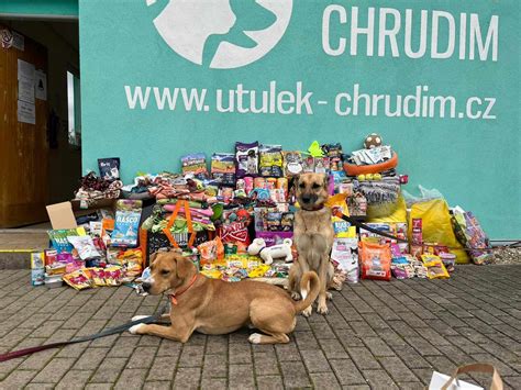 Dobrovoľníci pracujúci so psami v útulku