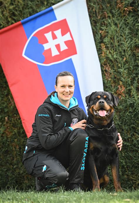 Štruktúra disciplín na majstrovstvách vo výkone nemeckých ovčiakov