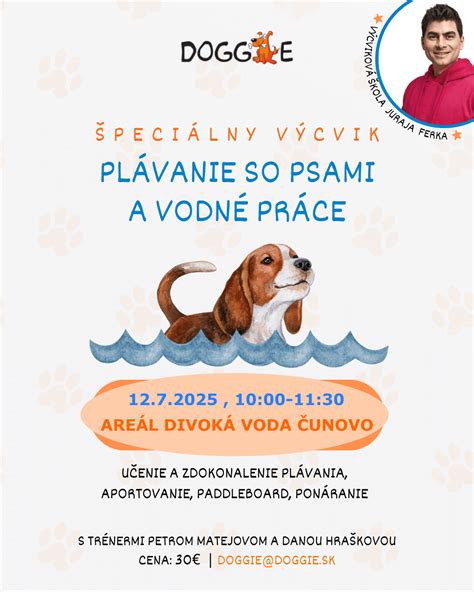 Ilustrácia rôznych spoločenských hier so psami
