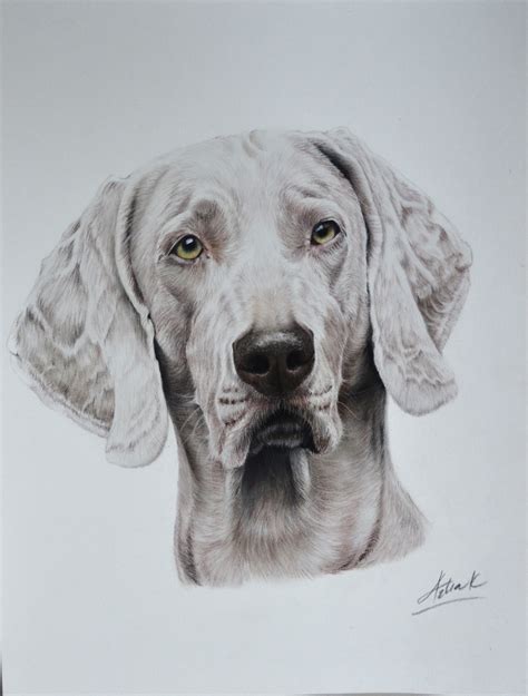 Detail kresby psích očí