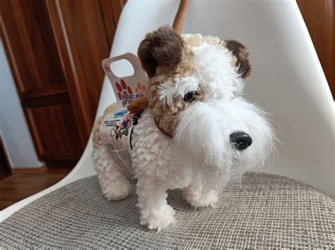 Ilustrácia povelov pre interaktívneho psíka