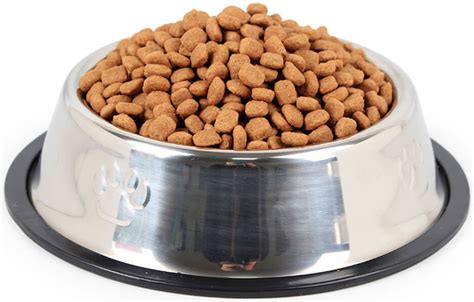 Pes a miska s kuskusom