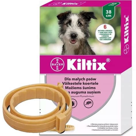 Ilustrácia psa s obojkom Kiltix