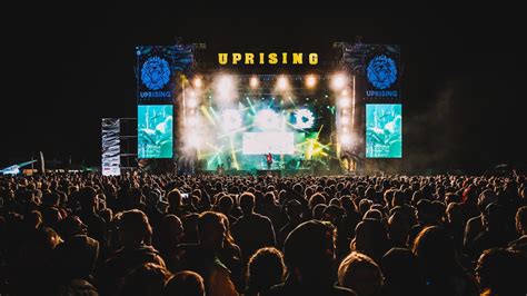 Ilustrácia VIP zóny na festivale