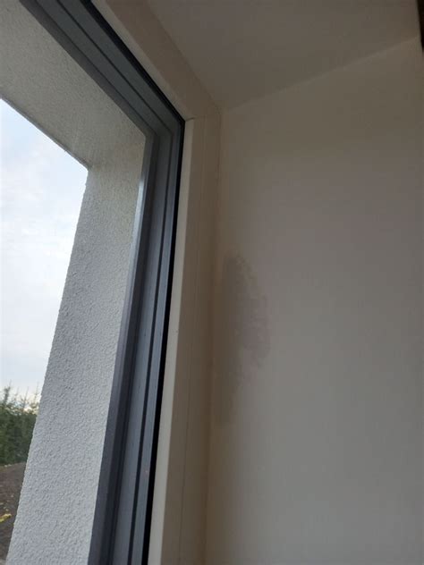 Ilustrácia psa pri okne