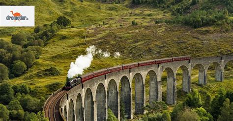 Škótska vysočina s westíkmi