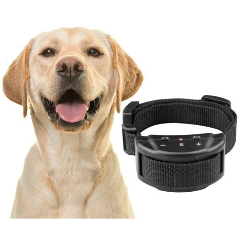 Ilustrácia psa s obojkom proti štekaniu