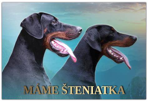 Chovateľská stanica Doberman