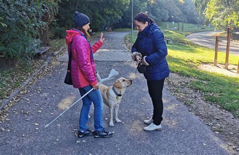 Schopnosti vodiaceho psa