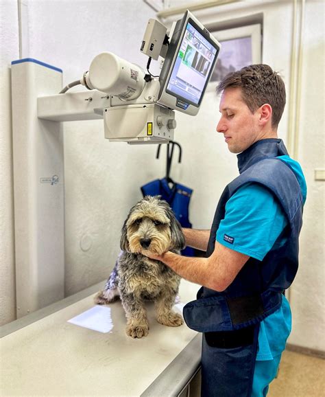Veterinár vykonáva RTG vyšetrenie psa