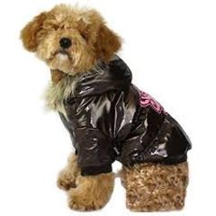 Psie oblečenie do dažďa