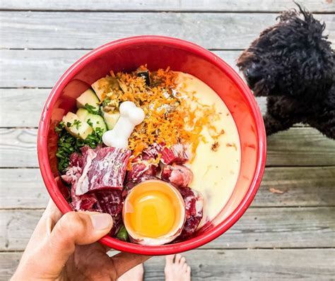 Ilustračná schéma zloženia BARF stravy pre psa