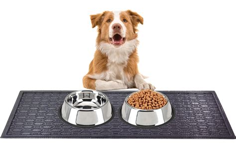 Obrázok psa pijúceho vodu z misky